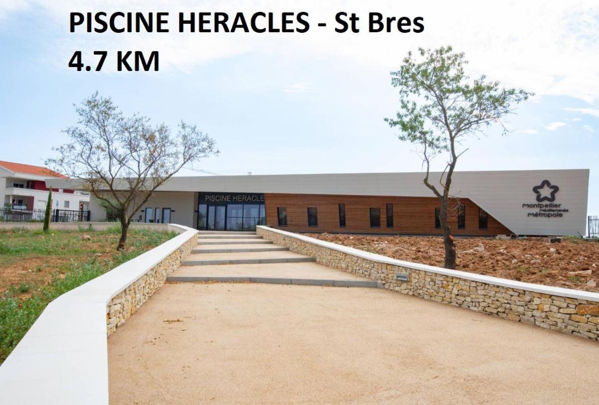 Secret Garden - Chez Gilles Et Tra - Maison D Hote -T2 Super Mignon, Neuf Et Independant , Dans Cadre Agreable Et Zen Valergues Ngoại thất bức ảnh