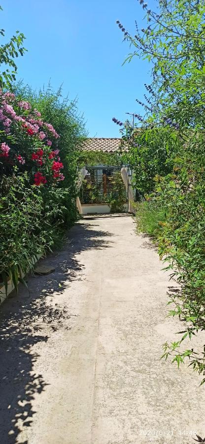 Secret Garden - Chez Gilles Et Tra - Maison D Hote -T2 Super Mignon, Neuf Et Independant , Dans Cadre Agreable Et Zen Valergues Ngoại thất bức ảnh